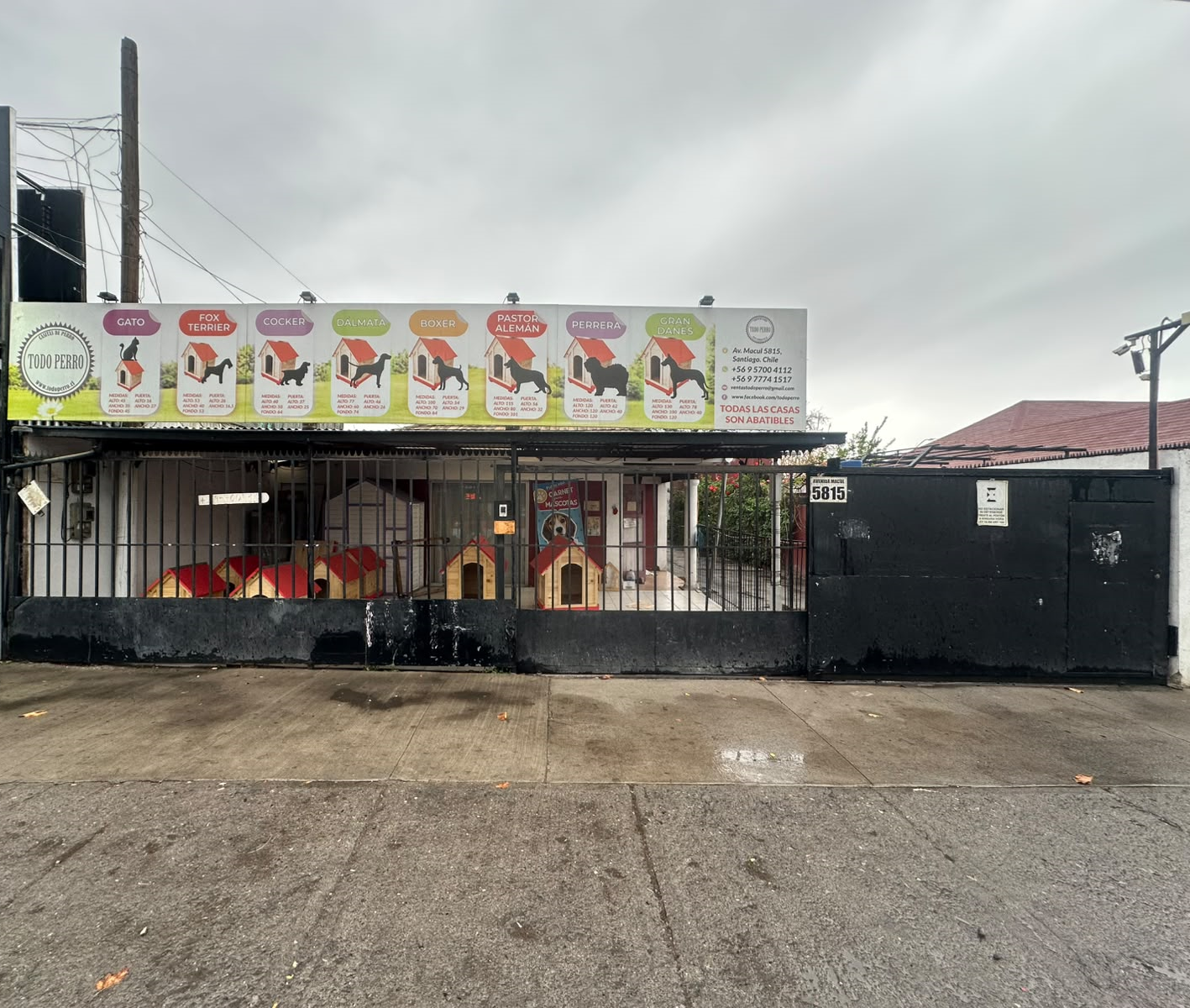 Local Todo Perro en Avenida Macul 5815, Macul