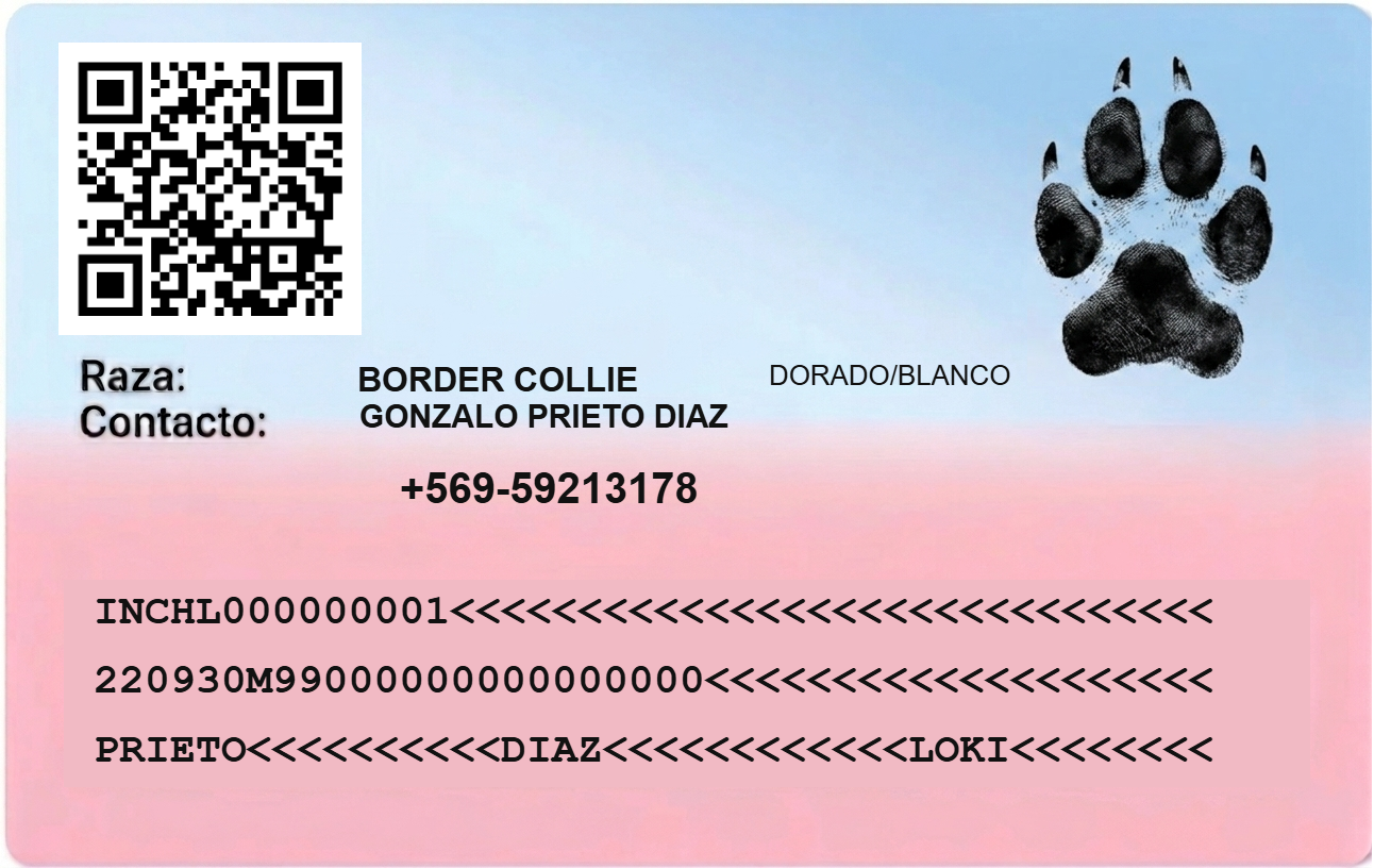 Carné Todo Perro ID — reverso
