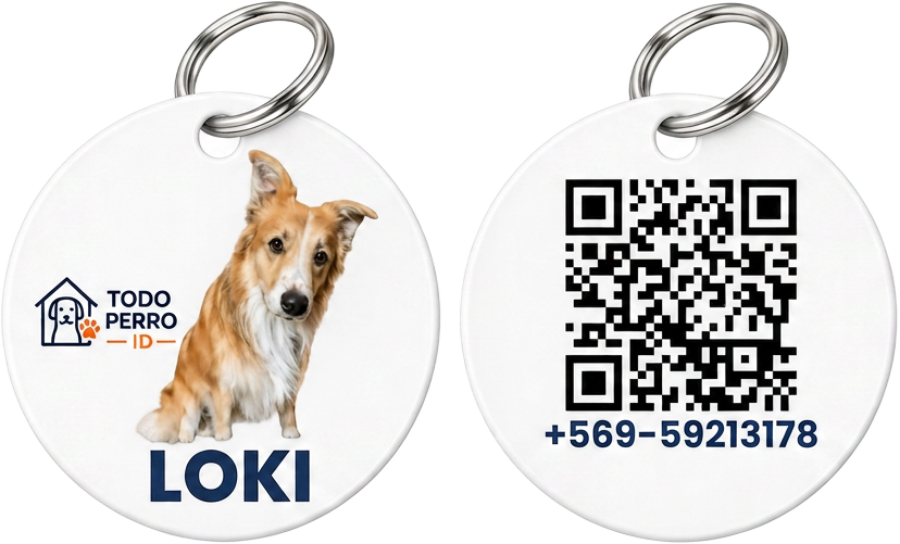 Placa circular Todo Perro ID con argolla