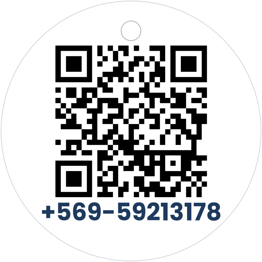 Placa circular Todo Perro ID — reverso